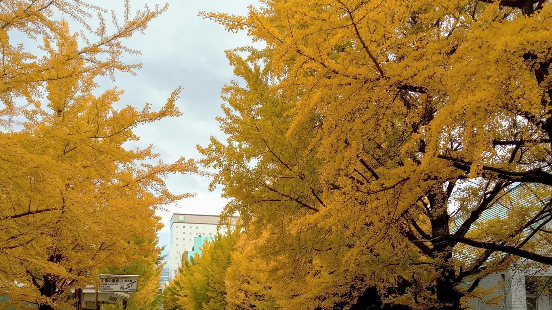 札幌市Aup178アパートメント 0*, 札幌市 日本